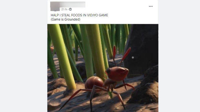 Una captura de pantalla de una publicación grupal de Facebook de una imagen de una hormiga en Grounded.  Se titula 'HALP I ROBO ALIMENTOS EN EL JUEGO VIDJYO (El juego está castigado)'