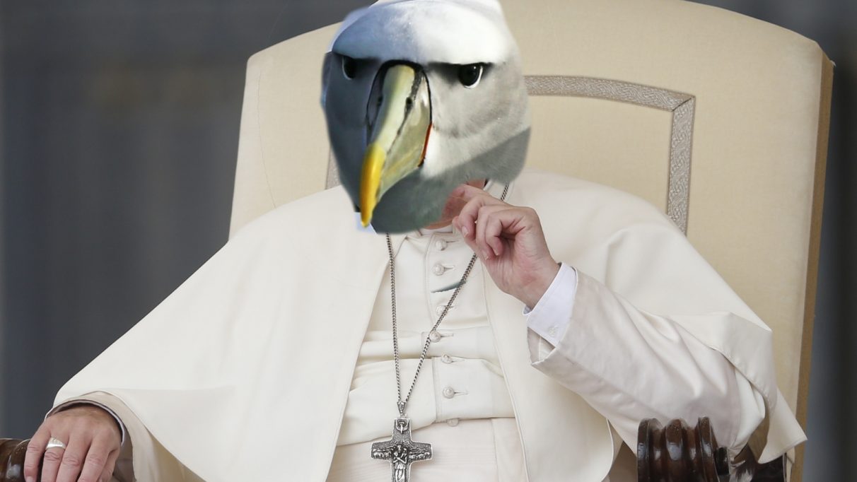 Una fotografía del Papa pero con una cabeza de albatros en lugar de su cabeza normal.