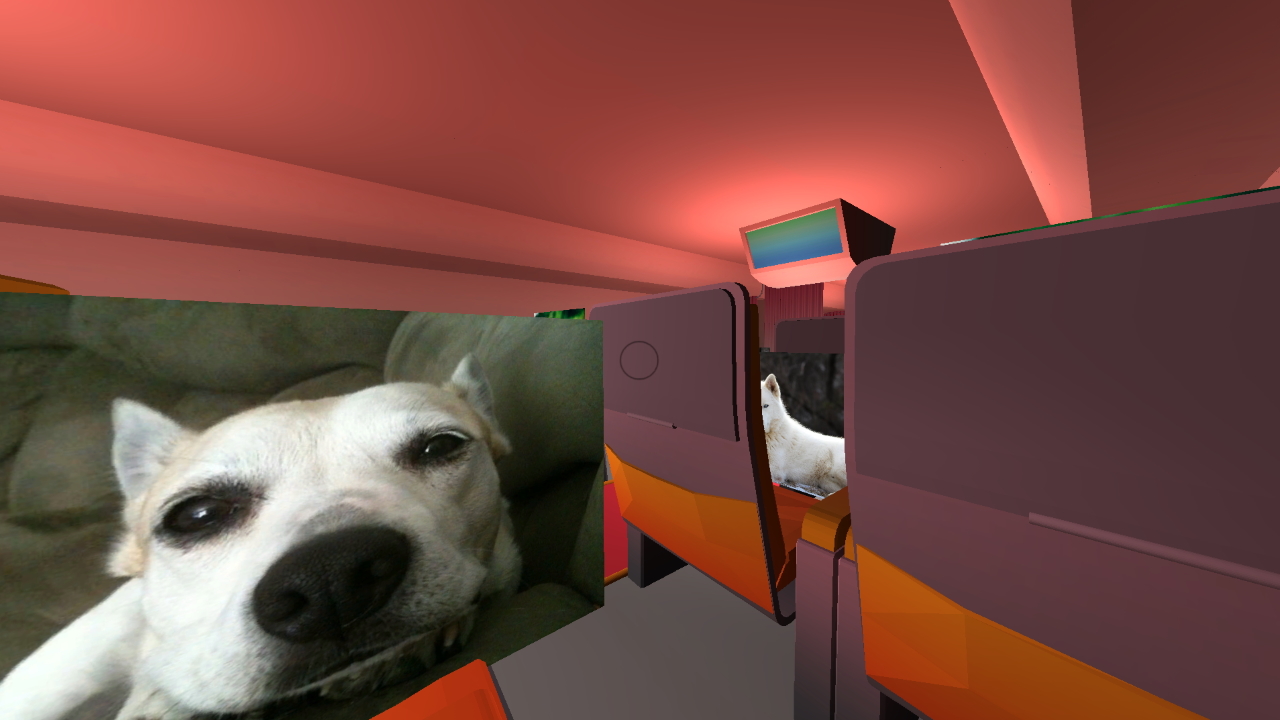 El jugador se sienta en un vuelo mientras Surgeon Dog nos mira ...